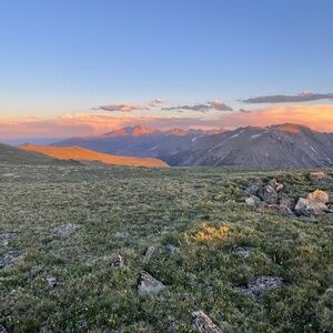 Meet your Posher, Dylan